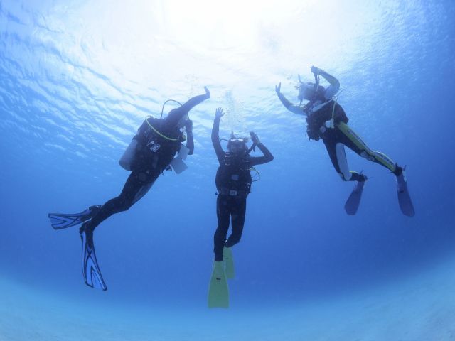 ミスオーシャン ダイビングサービスのオープンウォーターダイバー講習のギャラリー画像7