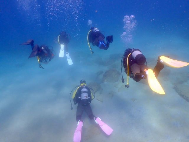 海洋実習 Day1の様子