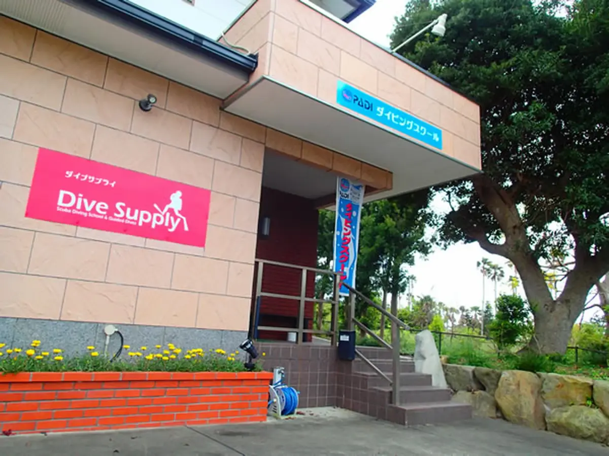 ダイブサプライ 1