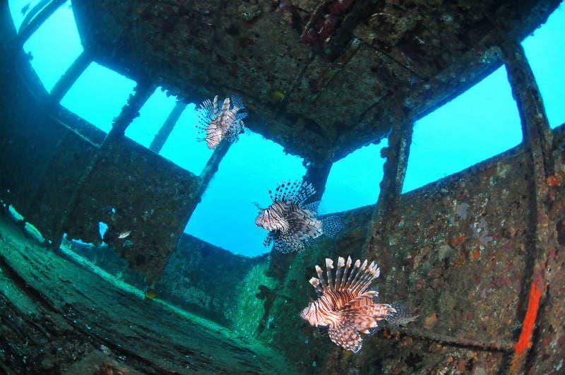 ミスオーシャンダイビングサービス 2